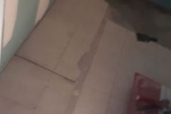 IMG_20231013_134214